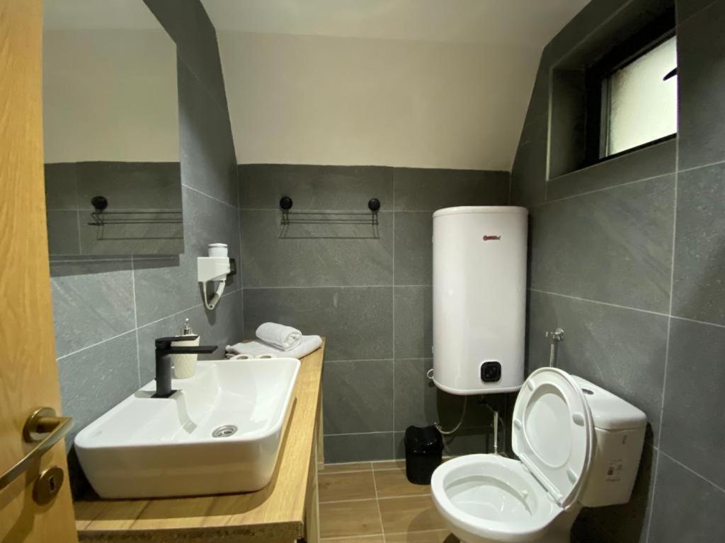 Dandelion House Villa Zabljak  Luaran gambar